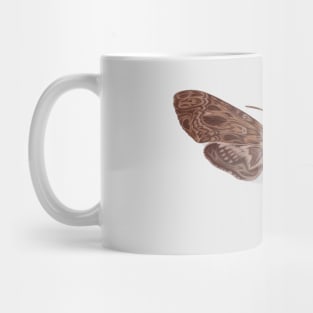 Death head moth anatomy Mug